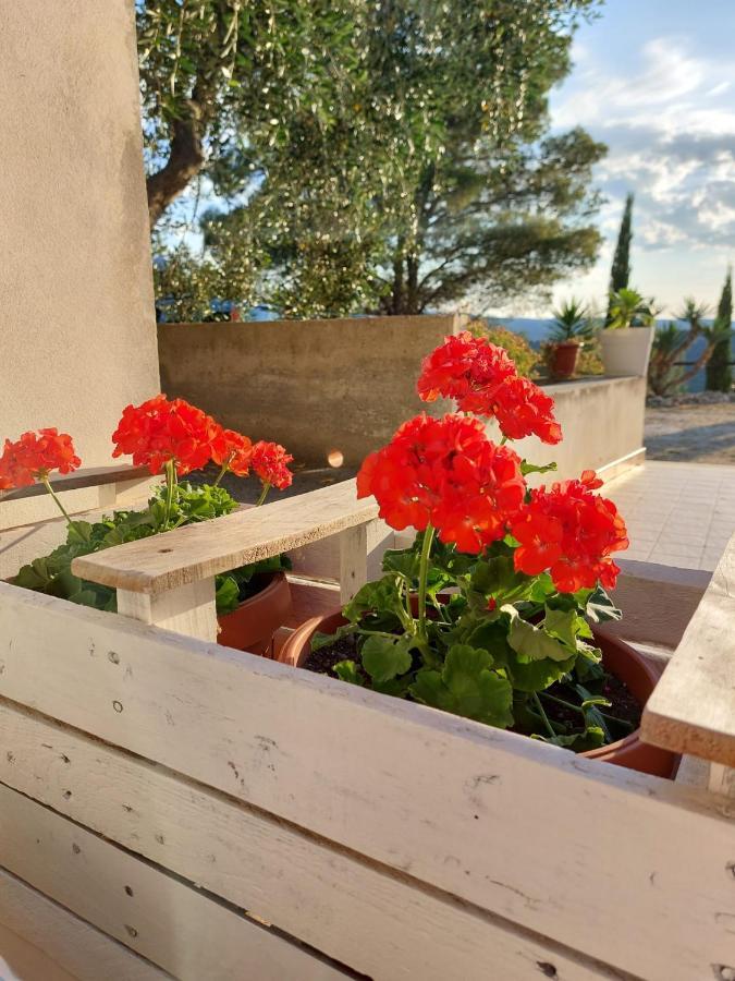 B&B Villa Maria Ester Вьесте Экстерьер фото